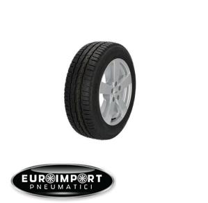 Minerva Avenue Cargo AS 215/60 R17 109/107 T Carico C